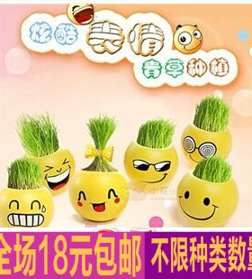 绿色盆栽办公室迷你植物青草种植QQ表情草头娃娃桌面生态瓶小盆栽
