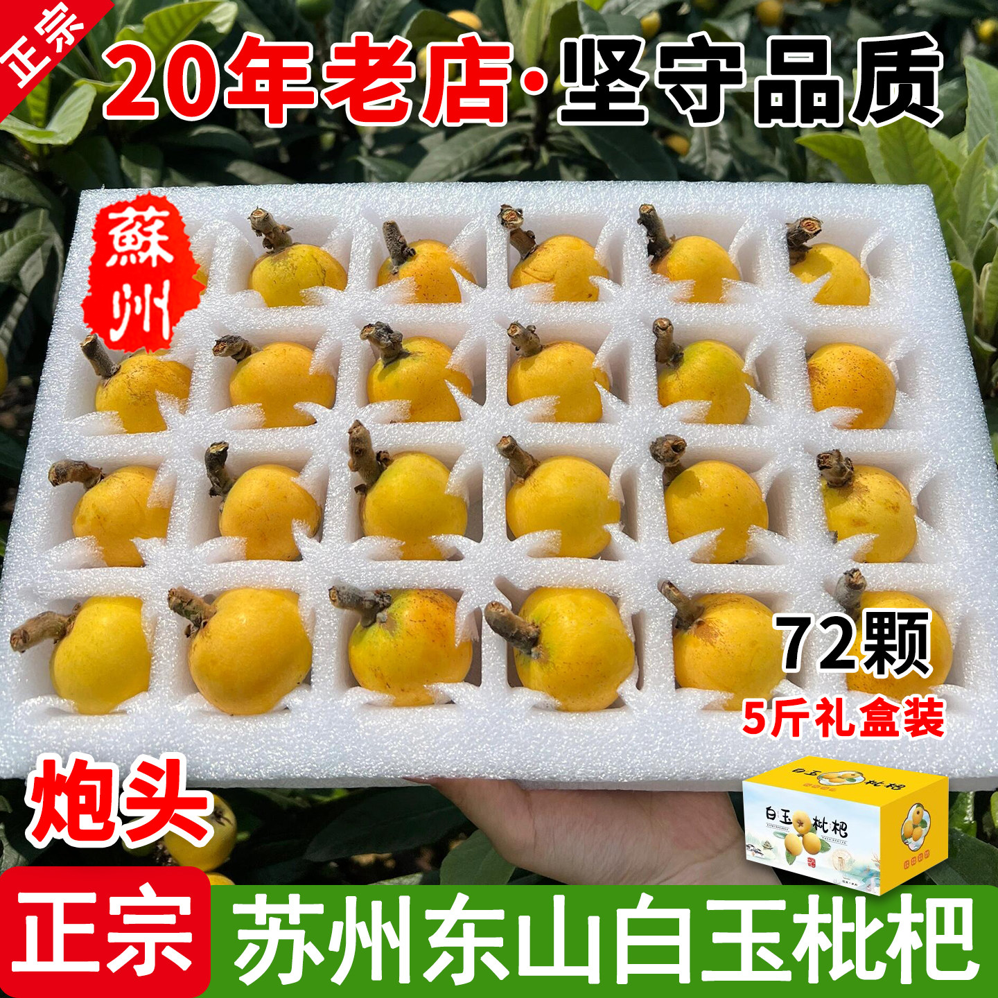 【头茬炮头】正宗苏州东山白玉枇杷鲜果5斤孕妇当季水果白沙琵琶