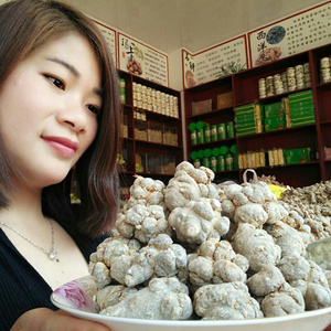 云南文山15-18-20-25-30-40头三七自产自销带剪口可磨细粉或压片