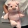 Чистая серия celebrity running cute piggy doll плюшевая игрушка кукла девочка кровать подушка для сна подарок на день рождения mini 2
