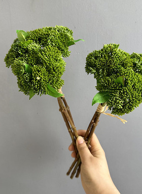 软胶菜花软胶果多肉植物拍摄道具花菜家居装饰米粒果仿真花