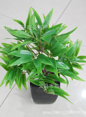新品上市竹柏仿真植物植物墙配材观音竹竹子叶小盆景盆栽装饰