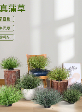 仿真蒲草假芦苇草室内家居装饰摆件摄影道具假草丛草垛假绿植造景