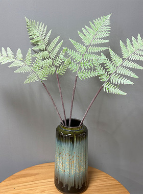 精品3叉蕨叶鳞毛蕨植物墙配材仿真大山蕨凤尾蕨插花装饰植毛叶子
