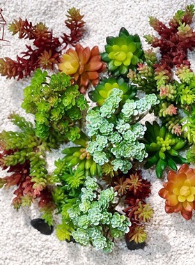 装饰框北欧植物壁挂墙壁装饰立体挂墙绿植背景墙鹿头仿真多肉绿植