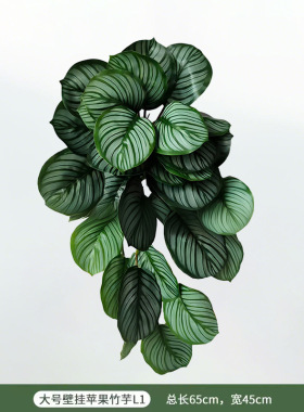 仿真绿植新款苹果绿萝竹芋壁挂植物墙装饰蕨类假植物造景室内插花