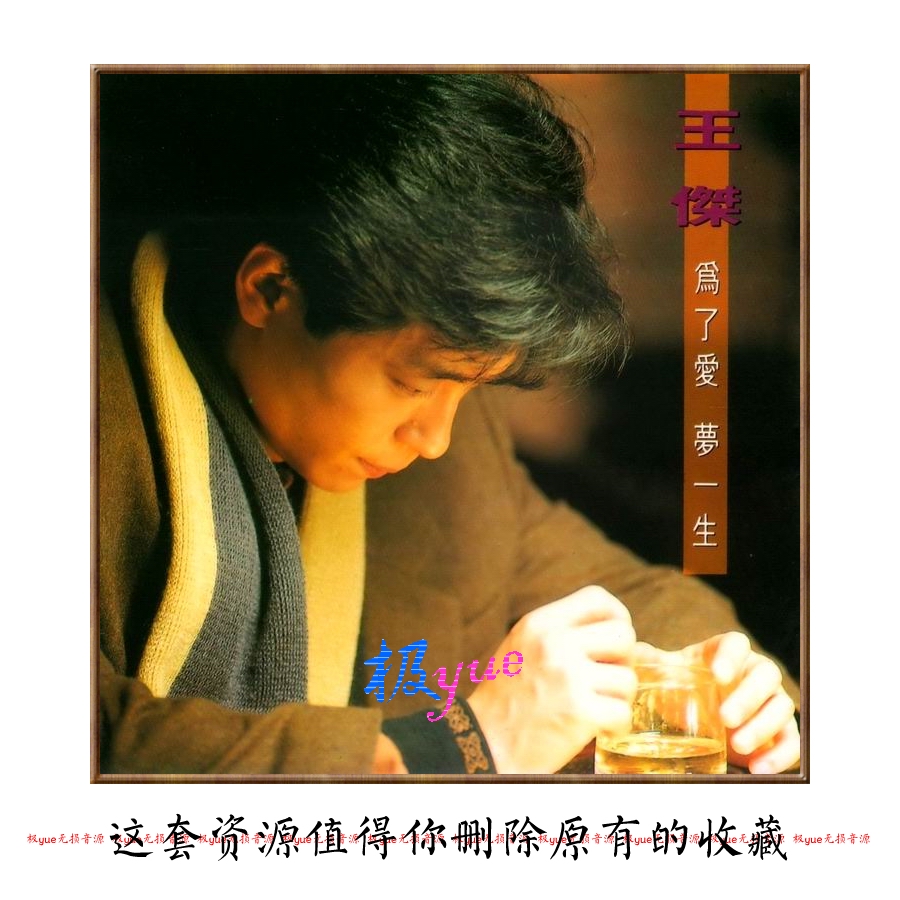 王杰 实销210+•极yue会计师归整•台湾流行音乐的时代象征 页详
