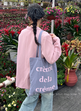 Wfei春夏薄款字母包韩系ins小众帆布包灰色单肩包旅游百搭布袋女