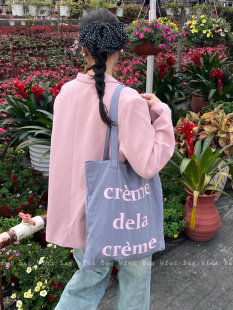 Wfei春夏薄款 字母包韩系ins小众帆布包灰色单肩包旅游百搭布袋女