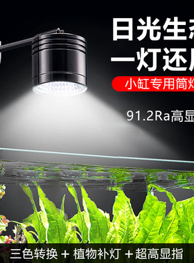 全光谱水草灯筒灯小型led鱼缸灯溪灯流造景水陆南美缸射灯暴藻灯