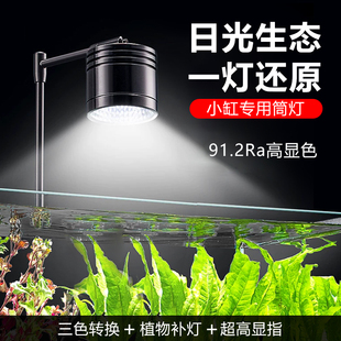 全光谱水草灯筒灯小型led鱼缸灯溪灯流造景水陆南美缸射灯暴藻灯