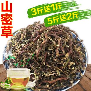 山蜜草长寿草山蜜草乌龙草根 甜凉草 山密草500g