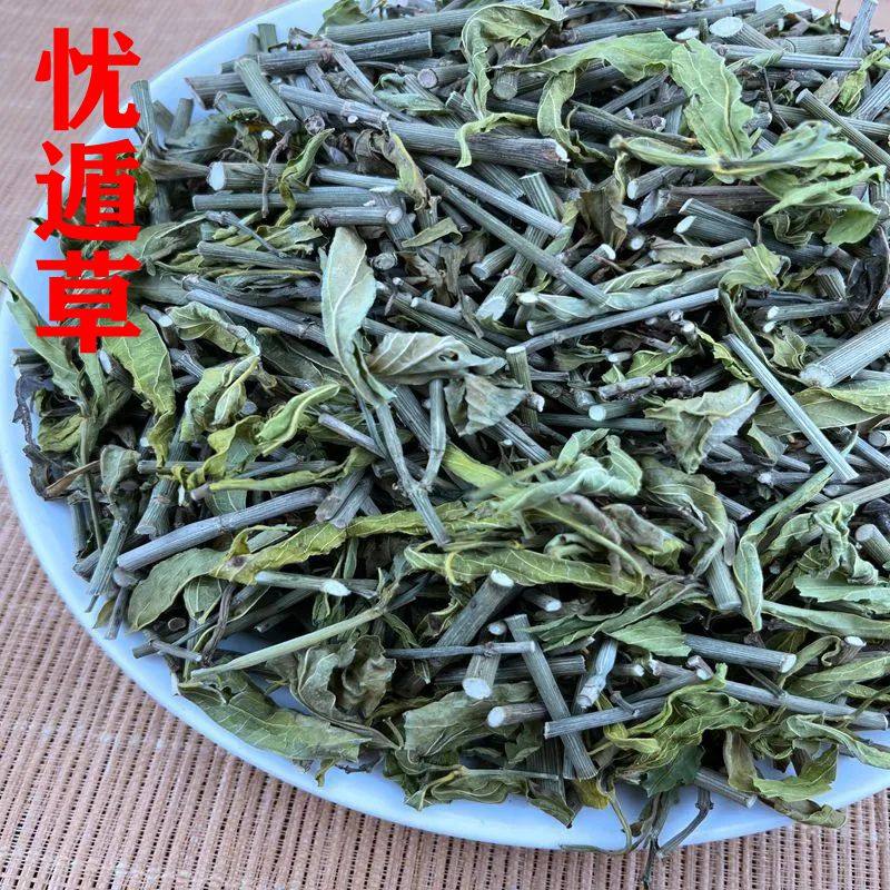 忧遁草海南五指山黎王草优盾草优