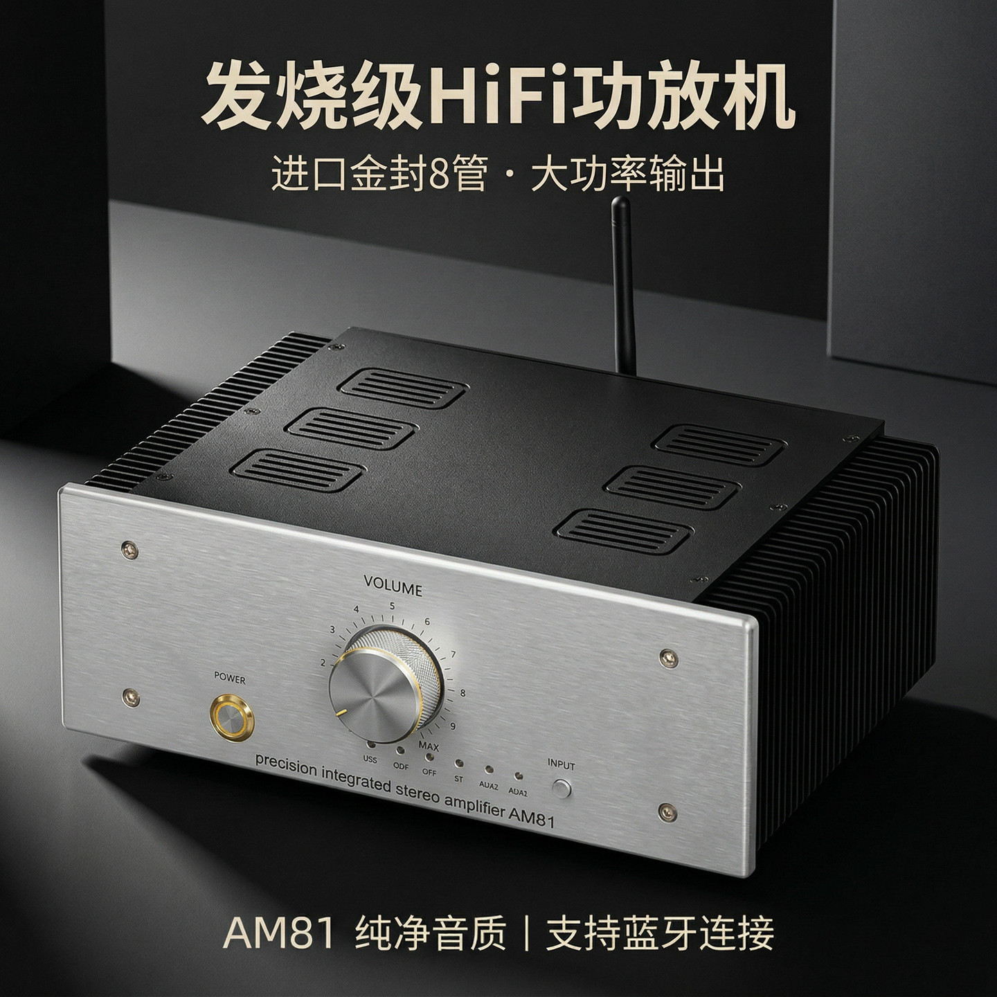 DIYLIVEHIFI功放2.0声道