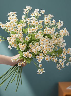 绢花客厅洋甘菊小清新