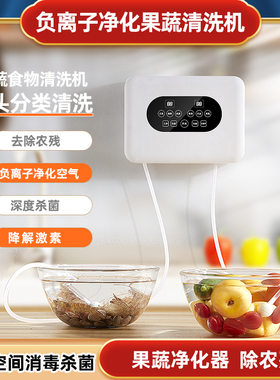 多功能双头臭氧洗菜机果蔬消毒机
