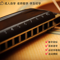 Blues Harmonica 10 hole senior adult beginner Qimei major C-key Blues beginner male instrument