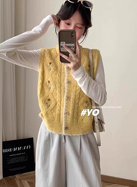 无袖针织马甲背心女秋款2025外搭圆领刺绣花宽松坎肩叠穿马夹上衣