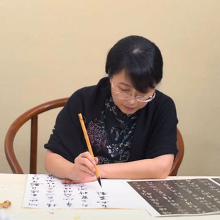 【孤鹜齐飞】方放老师同款狼羊兼毫行毛笔二王法兰亭序圣教序