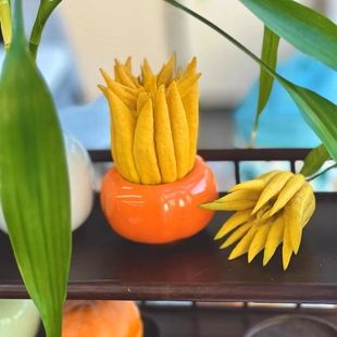 直播选果 一物一拍 所见即所得 现在现发 金华佛手直播专用链接