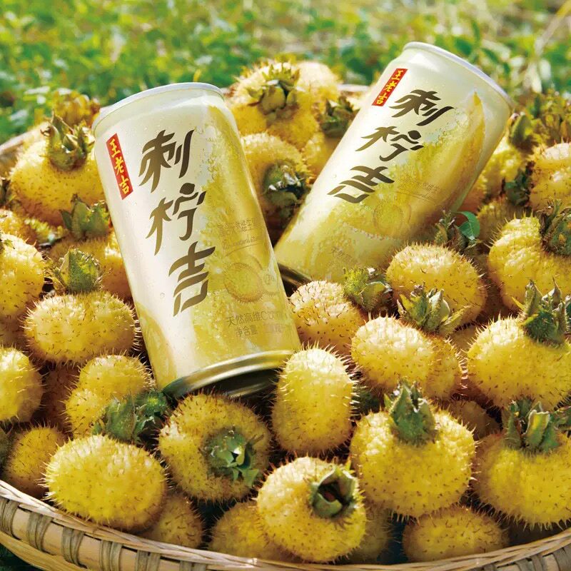 王老吉 罐刺柠吉高维c果汁饮料饮品刺梨汁310ml*6罐饮料整箱