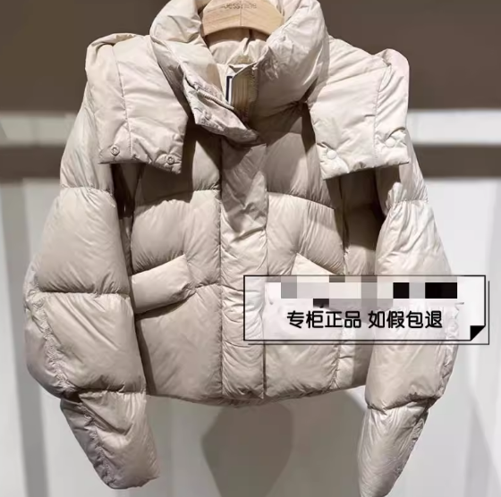 Jessyline杰西莱专柜正品2024冬季款羽绒服外套女444208178-1480