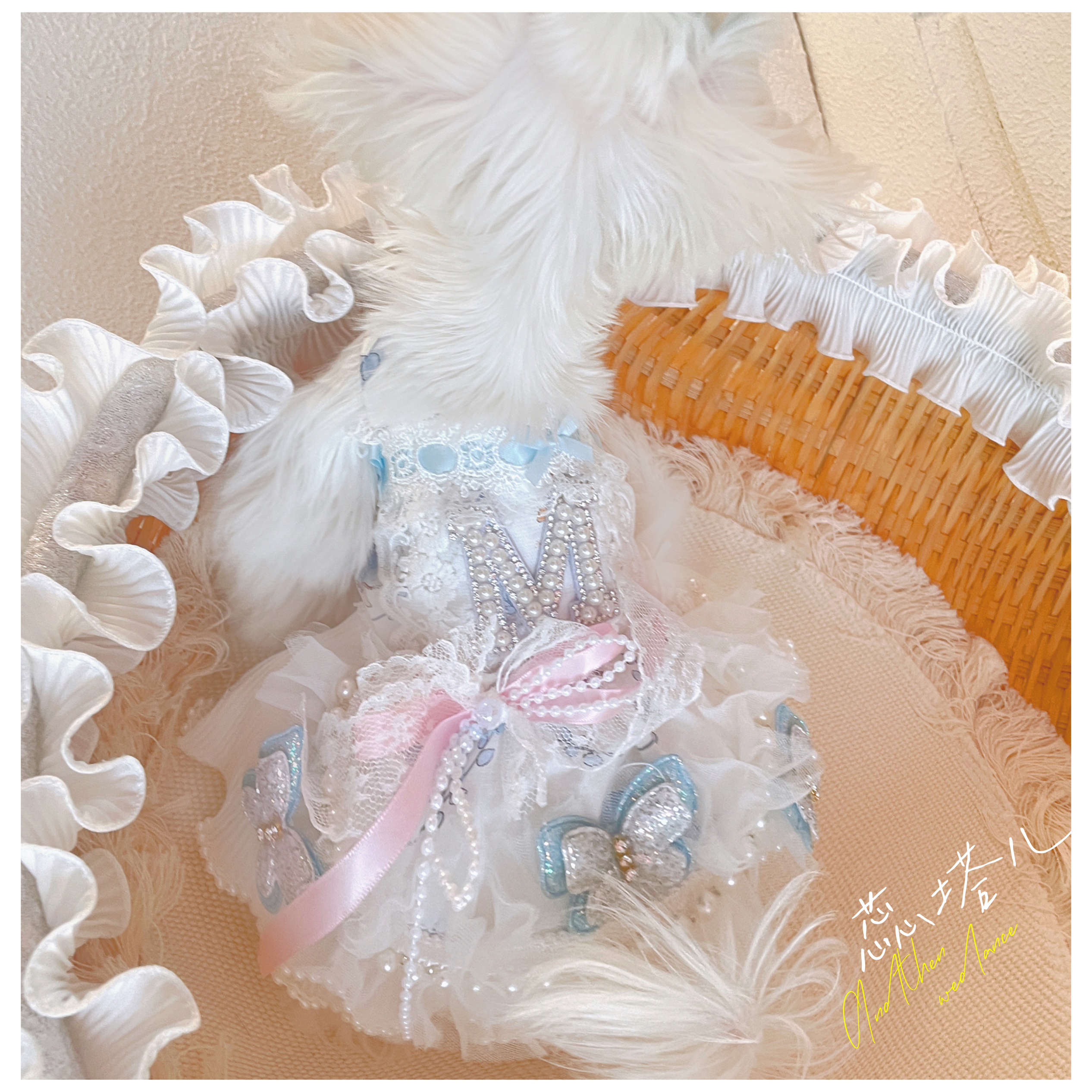 狗狗衣服马尔济斯连衣裙约克夏小体宠物公主裙比熊洛丽塔蓬蓬裙子