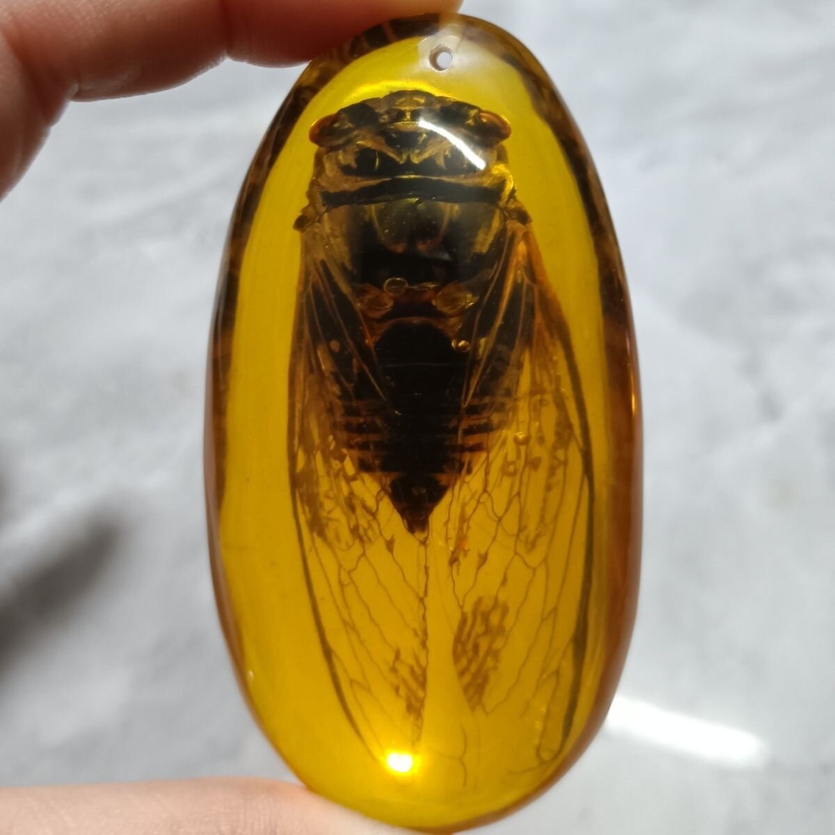 树脂仿琥珀知了蝎子螃蟹蜈蚣蝴蝶金龟子黄蜂蜻蜓标本昆虫手把件
