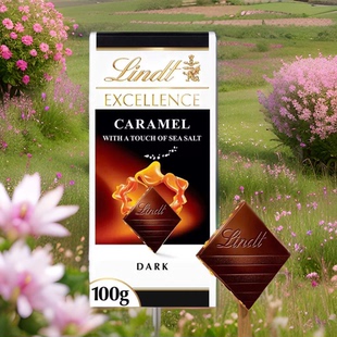 香港代购 新年礼盒节日送礼瑞士莲特醇焦糖海盐100克 进口网红代购