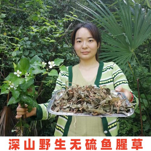 鱼腥草整颗新鲜干货无硫鱼腥草茶