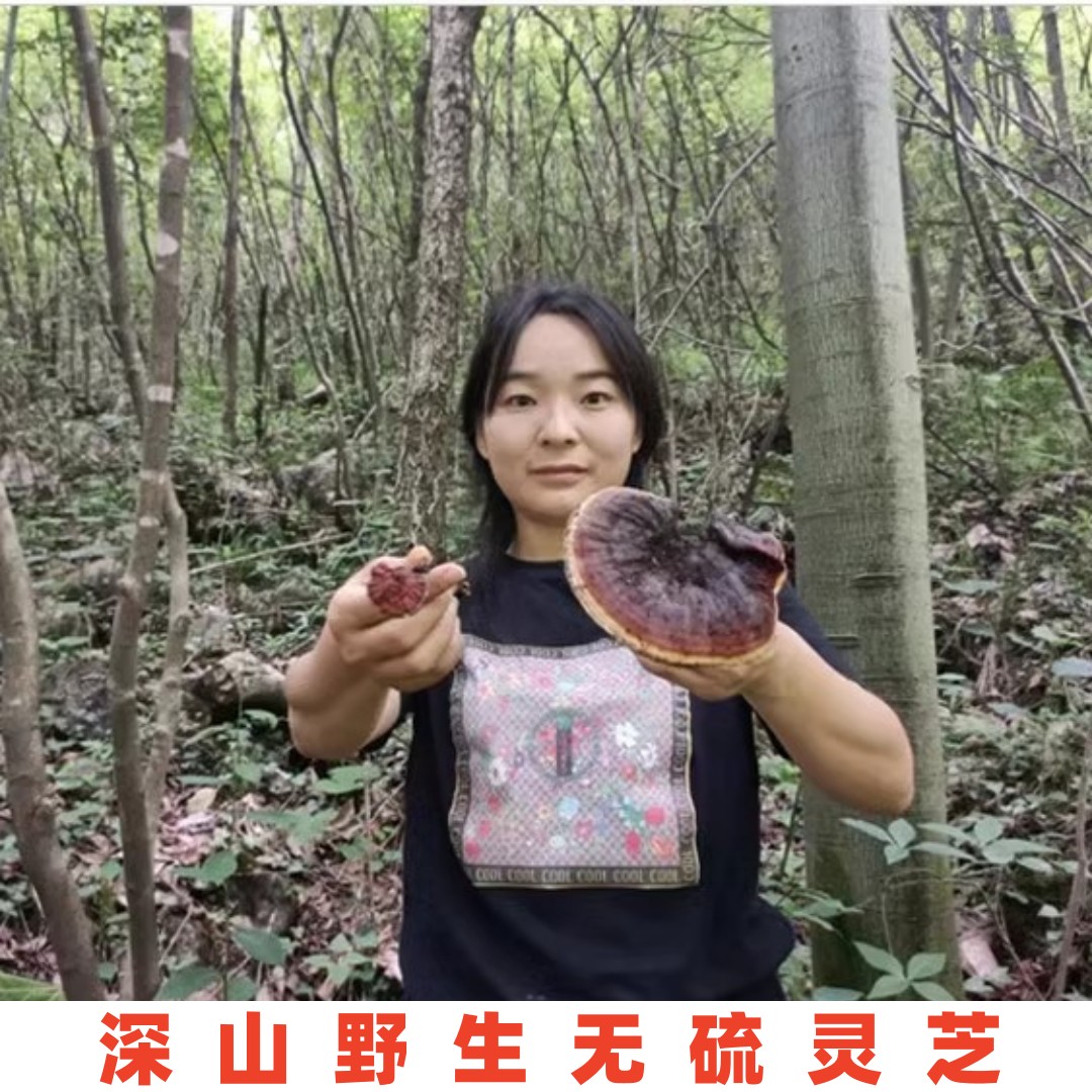 灵芝正品中药材赤灵芝切片孢子粉灵芝粉无硫整枝整朵野生灵芝片