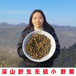 菊花茶神农架小米菊胎菊中药材干货苦菊花装枕头散装野菊花新货