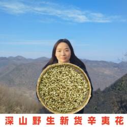 辛夷花中药500g神农架正品新货望春花无熏硫新鲜泡茶野生辛夷花茶