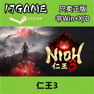 Steam 正版 国区 仁王3 cdkey 激活入库 pc端游戏