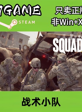 Steam 正版 国区 战术小队 cdkey 激活入库 pc端游戏