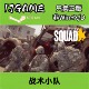 激活入库 Steam pc端游戏 战术小队 cdkey 正版 国区