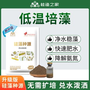 秋冬水产养殖硅藻种源低温专用肥水培藻调节水质增氧抑制有害藻