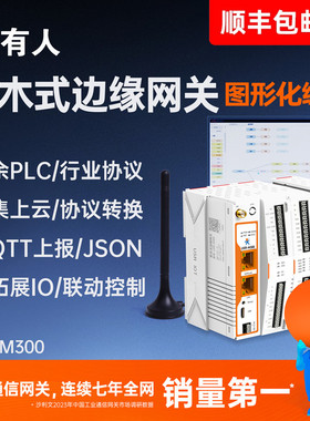 国产PLC控制器4G边缘计算网关网络IO继电器可编程Modbus有人M300