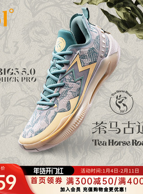 BIG3 5.0 QUICK PRO361男鞋运动鞋篮球鞋2025秋季实战耐磨球鞋