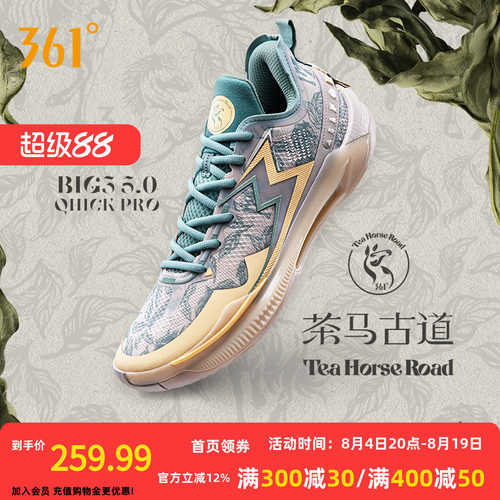 361度男鞋运动鞋篮球鞋