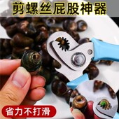 剪螺蛳屁股神器不锈钢厨房专用不打滑斜嘴省力钳去尾田螺贝类剪刀