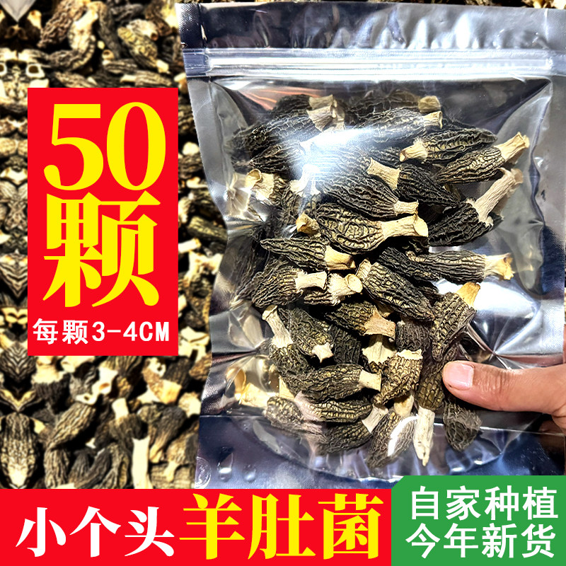 【农家特产】羊肚菌干货50颗3-4CM自家种植新货煲汤食材羊肚菇,粮油调味/速食/干货/烘焙,羊肚菌,淘宝优惠券,粉丝福利购,淘宝优惠卷