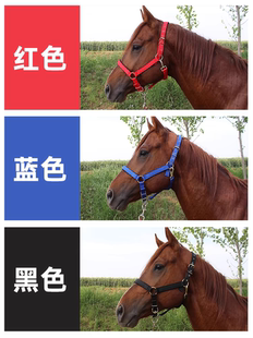 马笼头绳子马术用品马笼套大小矮马龙头马具型头套配件全套全线板