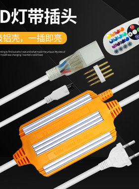 宜莱特LED灯带灯带插头超亮高亮5050软贴片光带插头220v灯带七彩