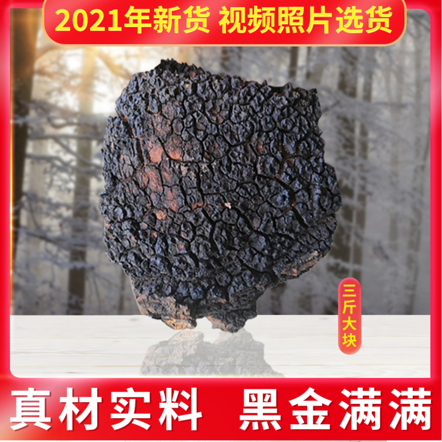 桦树茸野生三斤俄罗斯进口正品3斤桦褐孔菌茶黑金颗粒华树白桦茸