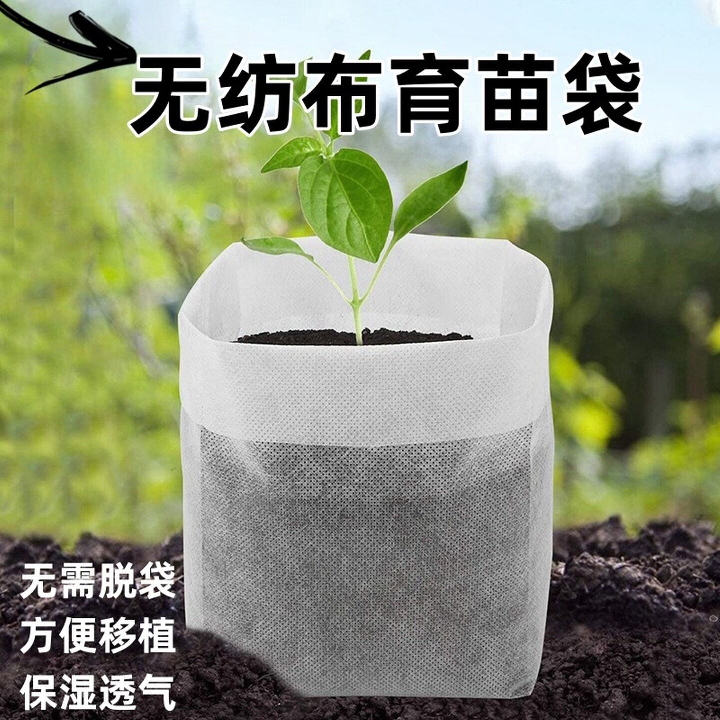 育苗袋无纺布美植袋可降解营养袋移苗圃树苗植树袋槟榔果树营养钵