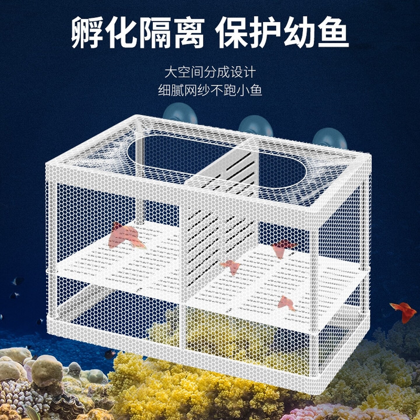 鱼缸隔离网隔离盒孔雀鱼繁殖盒孵化器繁殖箱悬浮式产子分离网专用