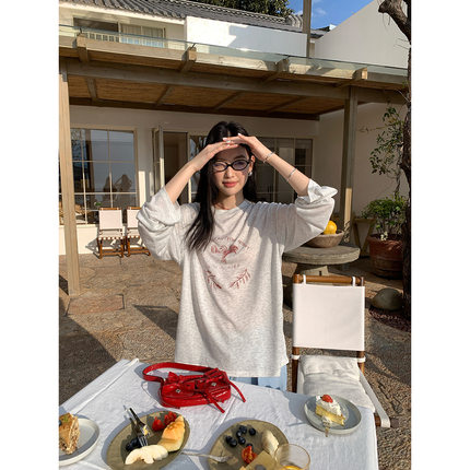 印花微透白色t恤女长袖打底衫圆领宽松上衣2025夏季韩版设计感T恤