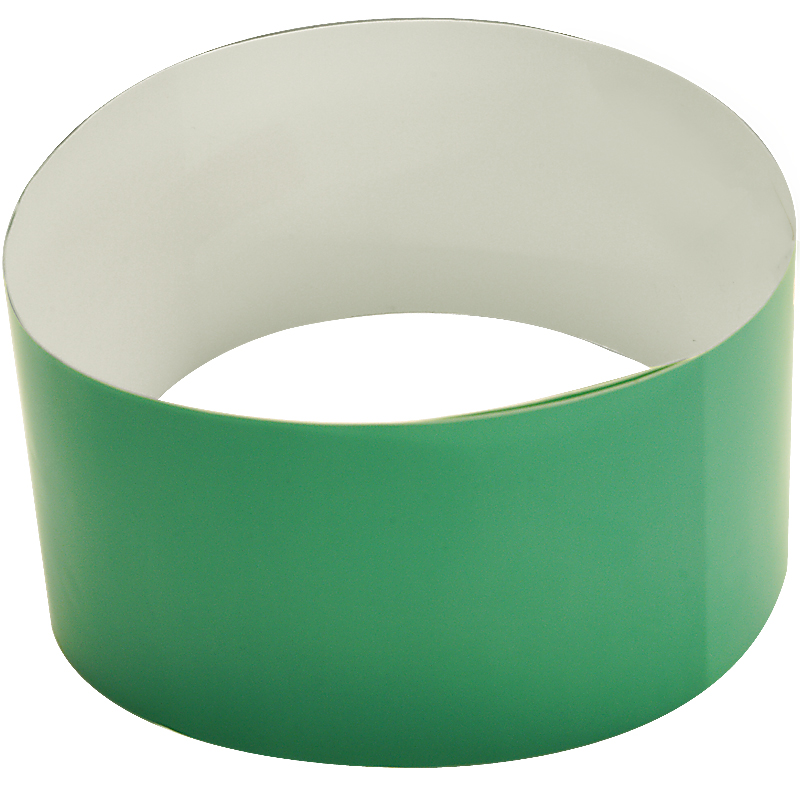 伟文(wewin) BZ-T09-CE[C]/H 60mm*600mm 标签纸 1 盒/盒(计价单位：盒) 绿色