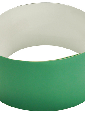 伟文(wewin) BZ-T09-CE[C]/H 60mm*600mm 标签纸 1 盒/盒(计价单位：盒) 绿色